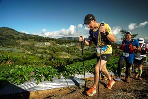 BIB: 932
                            <button type="button" onclick="openModal(19124513)" class="btn btn-primary btn-sm float-right btn-popup" data-toggle="modal" data-target=".modal-high-quality">
                        <i class="fas fa-shopping-cart"></i> Add to Cart
                    </button>
                                            <button type="button" onclick="isThisMe(19124513, true)" class="btn btn-success btn-sm float-right btn-popup btn-isme hidden" data-toggle="tooltip" data-placement="bottom" title="นี่คือรูปของคุณใช่ไหม คลิกที่นี่เพื่อเอาเข้าอัลบั้ม">
                        <i class="fas fa-plus"></i> Add to album
                    </button>
                    <button type="button" onclick="isThisMe(19124513, false)" class="btn btn-warning btn-sm float-right btn-popup btn-isnotme hidden">
                        <i class="fas fa-ban"></i> Remove from album
                    </button>